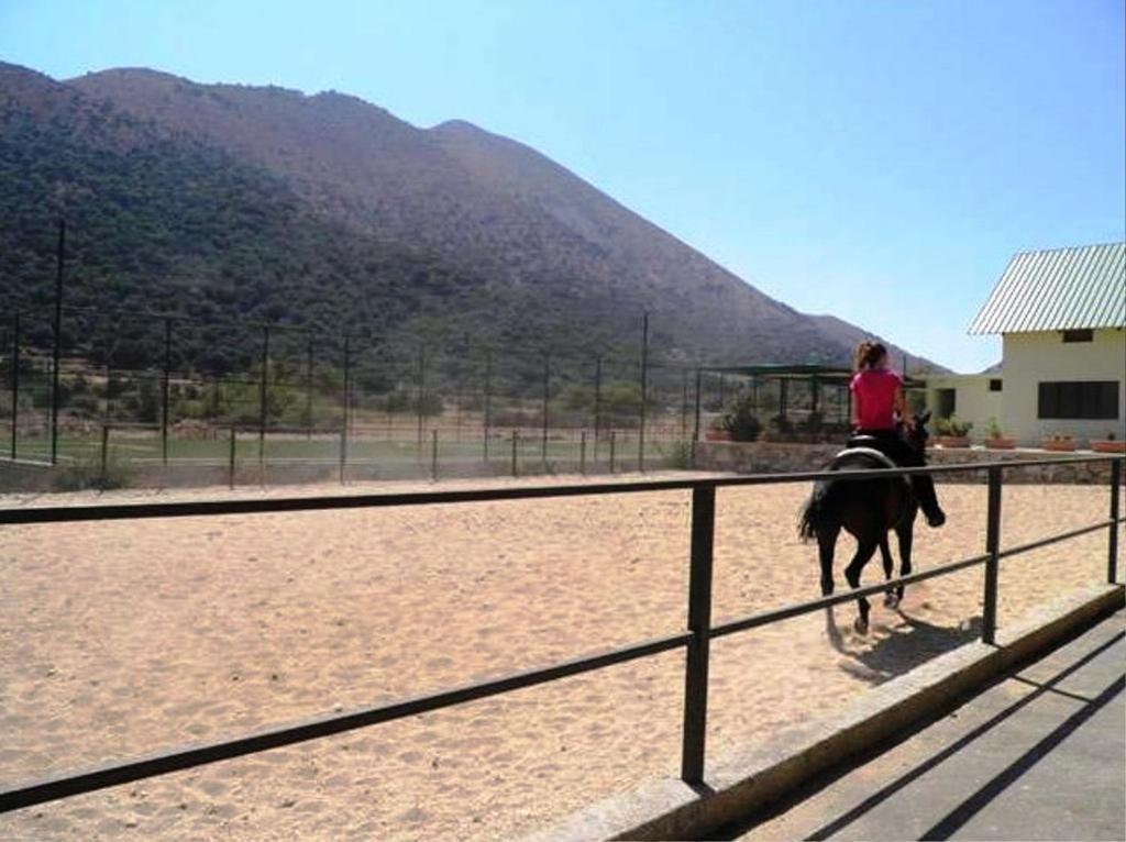 Lefkoritis Resort Askifou Sfakia Petrés Eksteriør billede