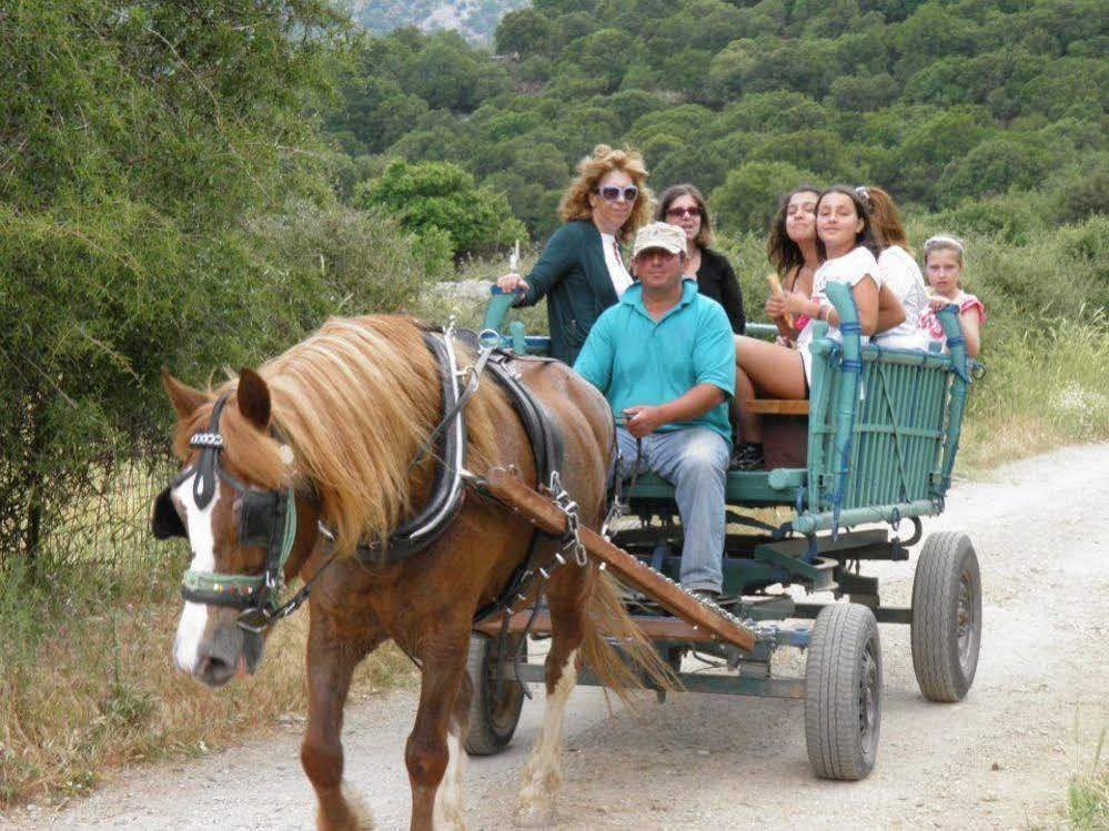 Lefkoritis Resort Askifou Sfakia Petrés Eksteriør billede